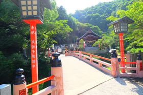 �_�ЂƑ�̃R���{�I�L���̂��X�X���B��X�|�b�g�u�哪�_�Ёv�Ɓu���w�̑�v�̋L���T���l�C��