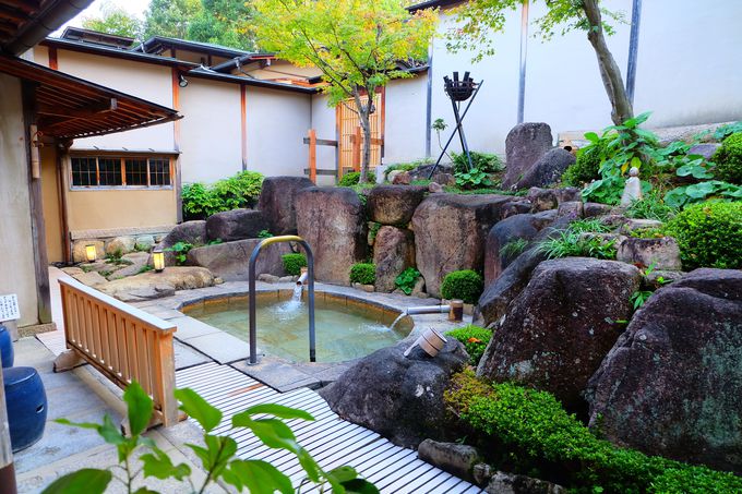 ���̔��͎���˔\����Ŗ�����