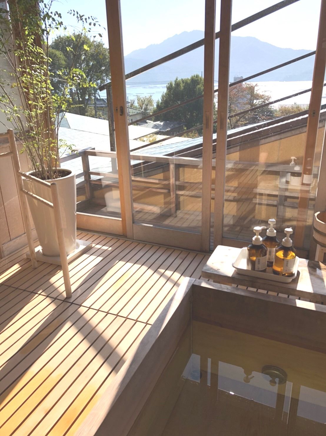 ���̔��͎���˔\����Ŗ�����