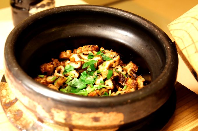 �u���q�v�͂��h�̐�i�㖼���I