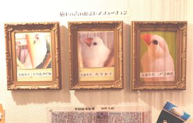 񋳂ă`[IÉE{XXu肢v͂H̋LTlC