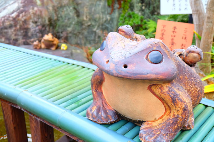 �K���r�Ő�������������{�ɂ��Ȃ�H�I