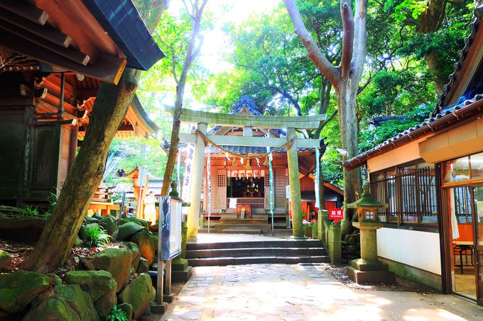 愛知 蒲郡の竹島 八百富神社 は宝物と自然パワー溢れる神秘域 愛知県 トラベルjp 旅行ガイド