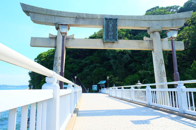 八 百 富 神社 春日神社 延岡 宮崎 どんど焼きと鹿の素敵な御朱印帳です Stg Origin Aegpresents Com