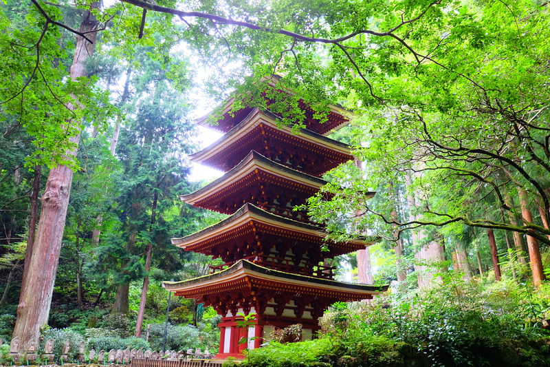 国宝が建ち並ぶ“女人高野”と称される美しい古寺・奈良「室生寺」 | 奈良県 | トラベルjp 旅行ガイド
