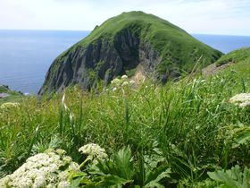 �Ԃ̕��� �當�� ��y�ɍ��R�A���Ɛ�i�����\�ł��铍��W�]��̋L���T���l�C��