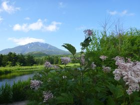 利尻島「白い恋人」のパッケージに使われた「オタトマリ沼」と逆さ富士が見られる「姫沼」の２つの沼を巡る