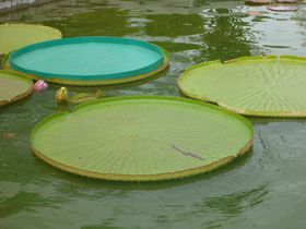 9���܂ł͓�������(2013�N�x)!!�u�͂܂܂t�����[�p�[�N�v���y���ވׂ̃K�C�h��̋L���T���l�C��