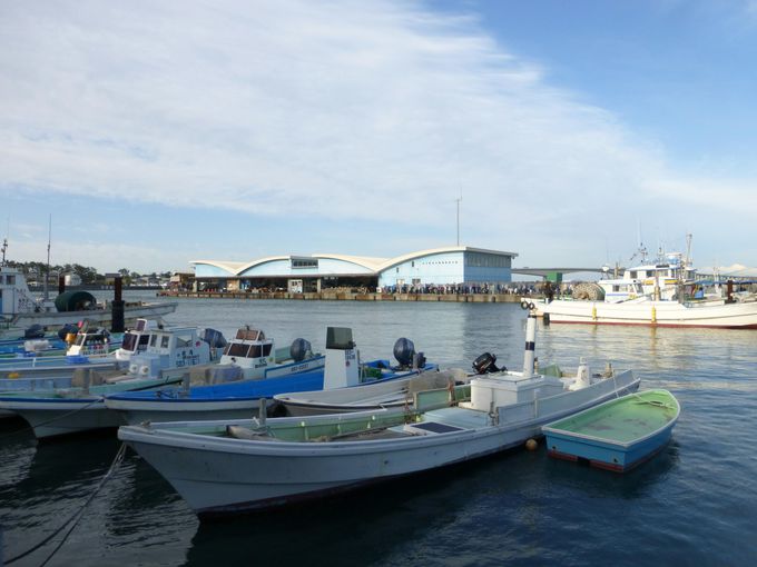 浜松が名産地の生しらすを「舞阪漁港」えんばい朝市で食す！