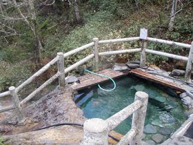 �厩�R���i�I�k�C���E�����̃I�X�X����V��4�I�̋L���T���l�C��