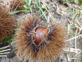 Éuǖcό艀vŏH̖ouIvEy̋LTlC