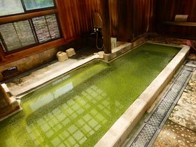 岩手の秘境・国見温泉「森山荘」は温泉通も唸るグリーンの湯が魅力