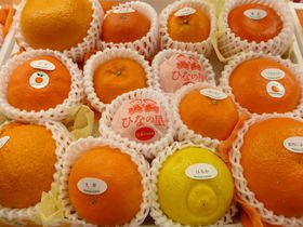 ߂߂IkEQŏoikނ̋LTlC