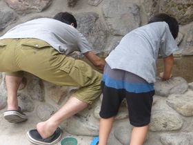 lqŕΒTIߐ{ugW[Xg[p[Nv̋LTlC