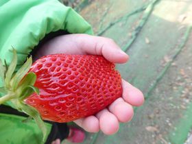 嗱ÁIÉEv\Ru}g_vŐΊ_Hו̋LTlC