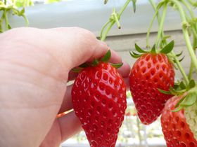 tࣖImuc䕉vŎԖC`S̋LTlC