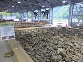 目指せティラノの歯！福井県「HOROSSA!」で化石発掘体験