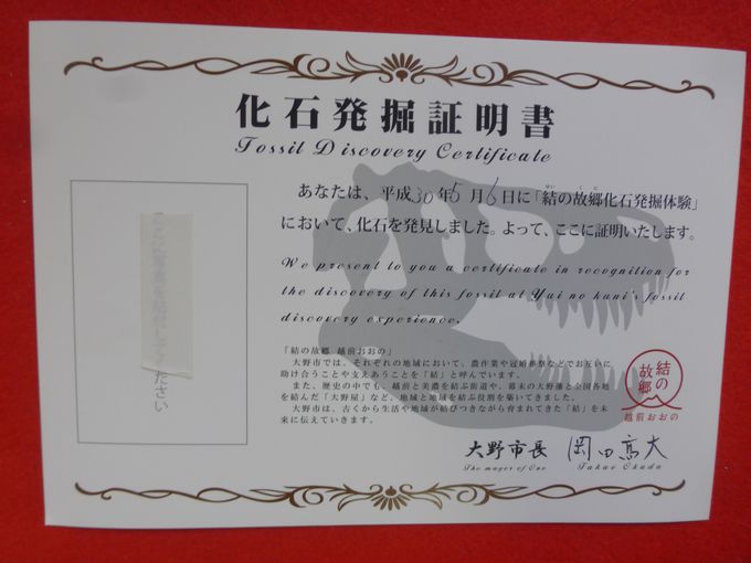 Δ@̌Z^[uHOROSSAIvŔ@IEEE