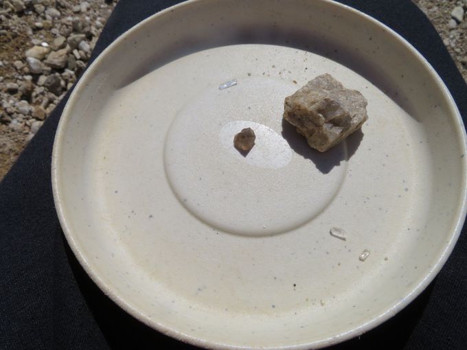 ���y���݁I�����T���Ă��y�Y��