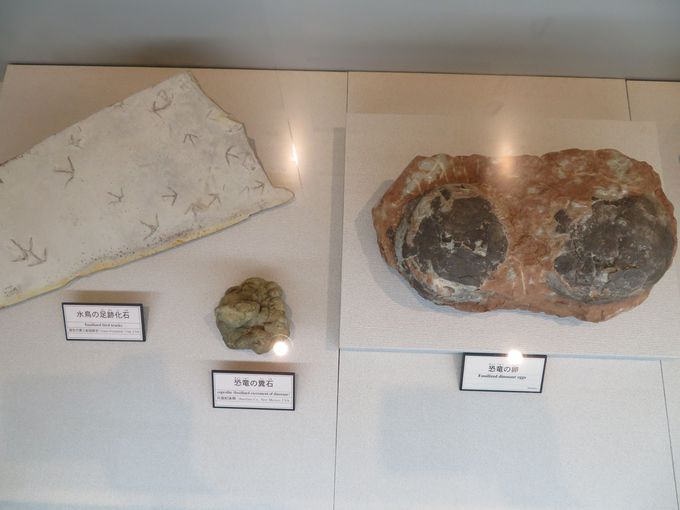 �P�����̂����ł͂Ȃ��I�F��Ȑ΂��m�F���悤�I