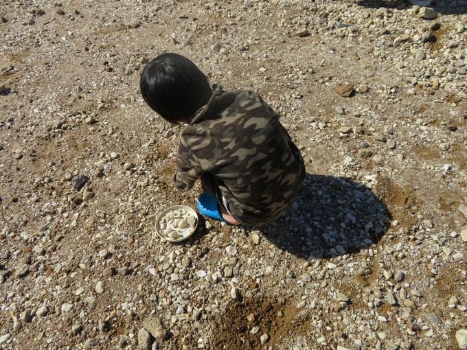 ���y���݁I�����T���Ă��y�Y��