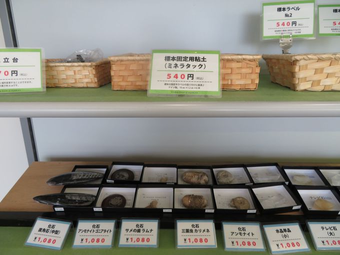 ���y���݁I�����T���Ă��y�Y��