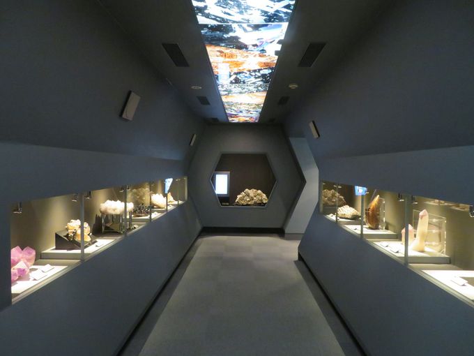 �܂��͍z�������Ă݂悤�I