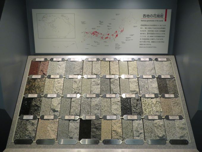 �P�����̂����ł͂Ȃ��I�F��Ȑ΂��m�F���悤�I