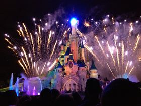 ς薲̍fBYj[hEp̌ǂ5I̋LTlC