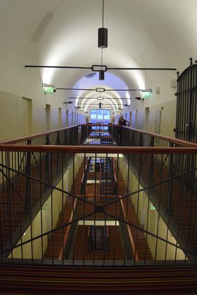 ����Ŋċ�!?�w���V���L�̌��E�č��z�e���u�J�^���m�b�J�v�̋L���T���l�C��