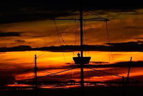 ���E�O��[�z�̖����I�}���[�V�A�E�}���b�J�ő�q�C�����̊��I�̋L���T���l�C��