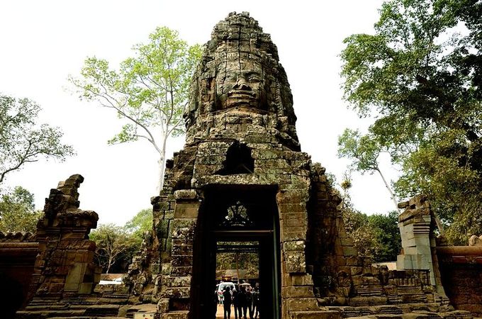 ここはラピュタ アンコール ワット遺跡群のタ プローム カンボジア は ジブリファン必見の遺跡 カンボジア トラベルjp 旅行ガイド