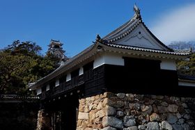 {nグI̓h}䂩̍m͌12V̈I̋LTlC