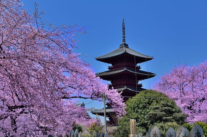 五重塔は関東最古で最大！