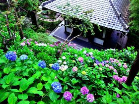 67xXgV[YIq̂8Iy2025z