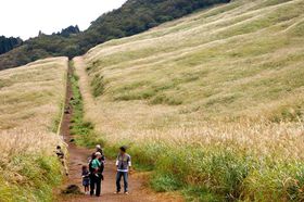 �g�t��������Ȃ������̏H�I��Ό������������ŉ����F�ɋP����n��������I�̋L���T���l�C��