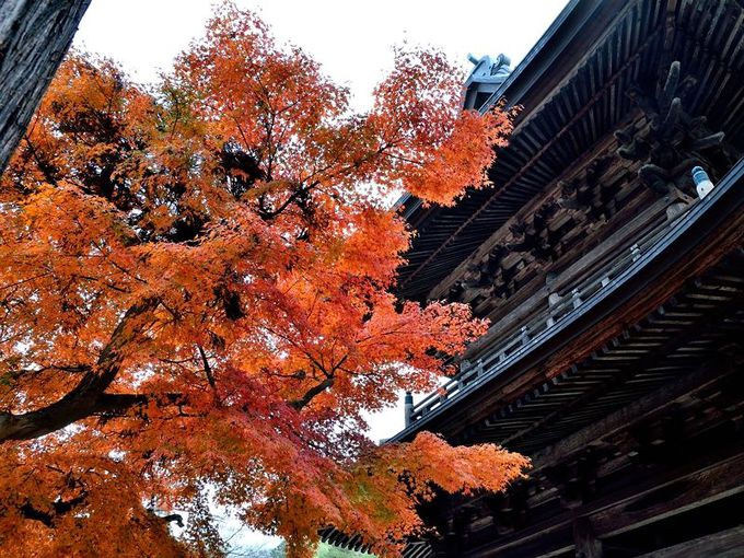 鎌倉五山第二位にして四季折々の顔が美しい「円覚寺」