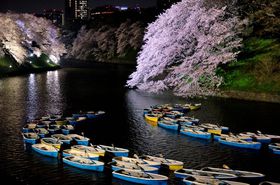 cƂ̎ӂ̊όX|bg14IIŊwƃANZX̋LTlC