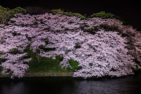 �����u�璹�����v�̍����C�g�A�b�v�������I�s�����w�̖���𖡂킢�s�����̋L���T���l�C��