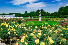 u_Av́gotFX^hIső勉́u΂牀v𖞋i悤I̋LTlC