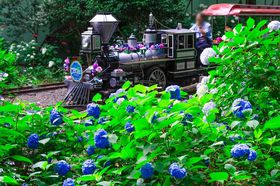 �u�Ƃ��܂���v�́g���������Ղ�h�������I�����̔~�J���ʂ�Ԃ̖������y�������I�̋L���T���l�C��