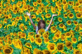 60{̐iIЂ܂蔨iRkmsj͉Ă̂oɒ߂̋LTlC