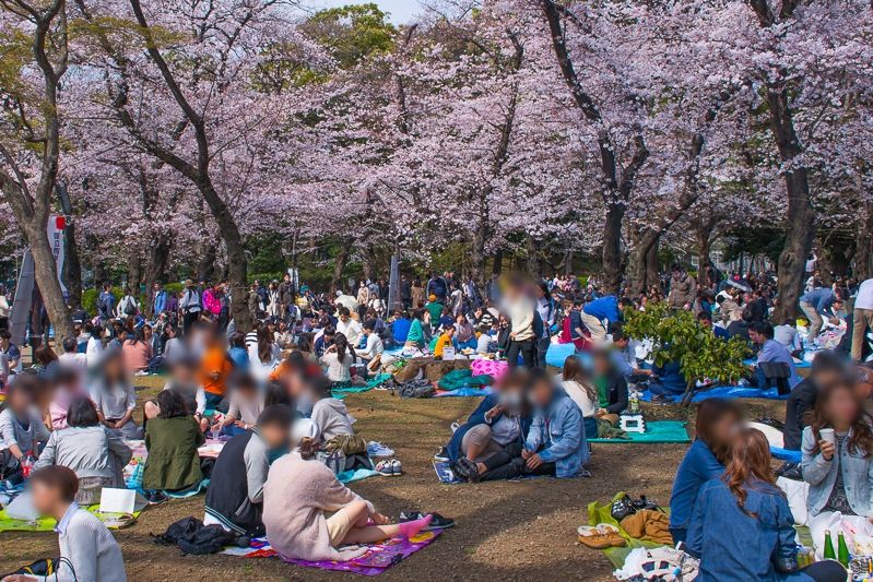 江戸時代から桜の名所！「上野公園」