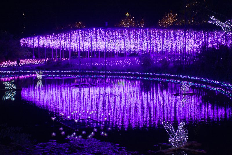 6�D���������t�����[�p�[�N�^�Ȗ،�