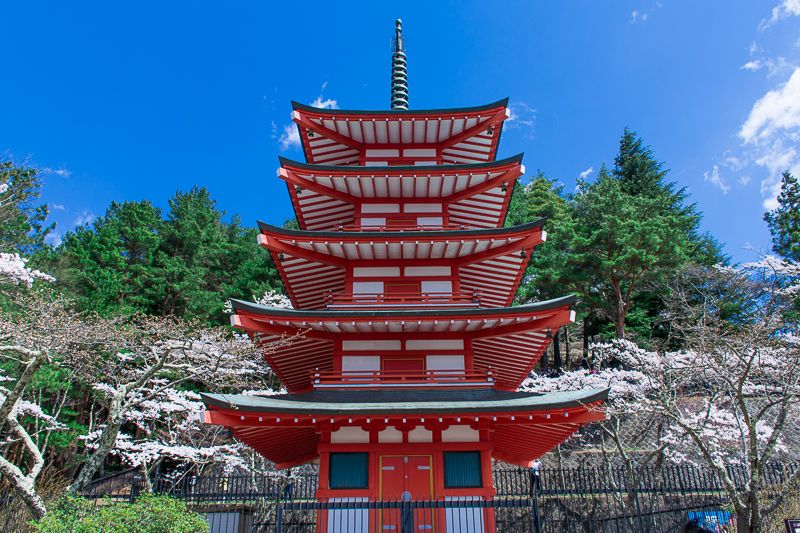 新倉山浅間公園のシンボル「忠霊塔」と桜