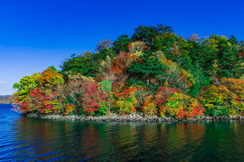 八丁出島の紅葉は様々な角度から楽しめる！