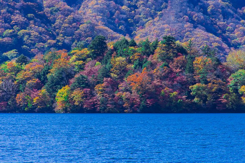 八丁出島が圧巻 紅葉の日光 中禅寺湖を半月山展望台から堪能しよう 栃木県 Lineトラベルjp 旅行ガイド