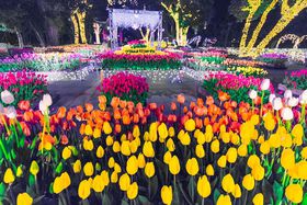 CgAbvI]̓uEB^[`[bvvœ~ԌyI̋LTlC