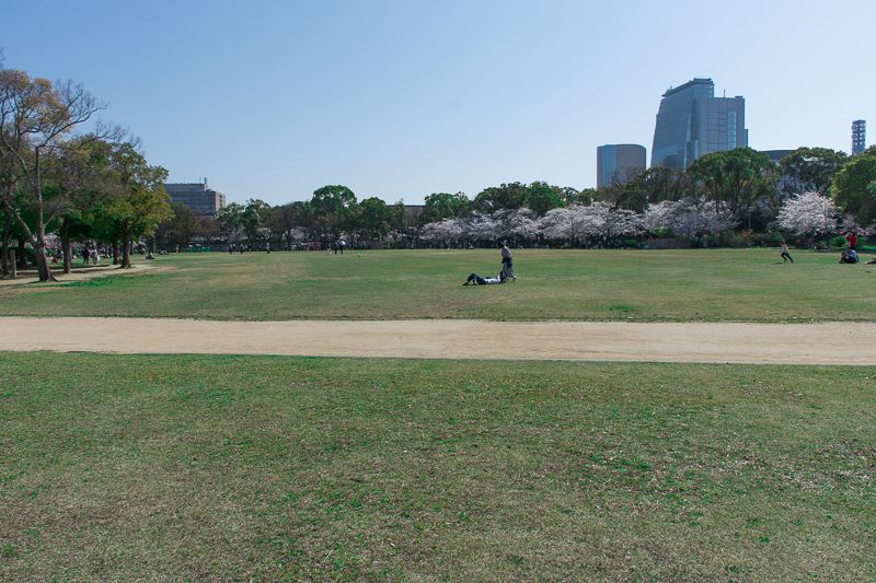 大阪城「西の丸庭園」での観桜も超おすすめ！