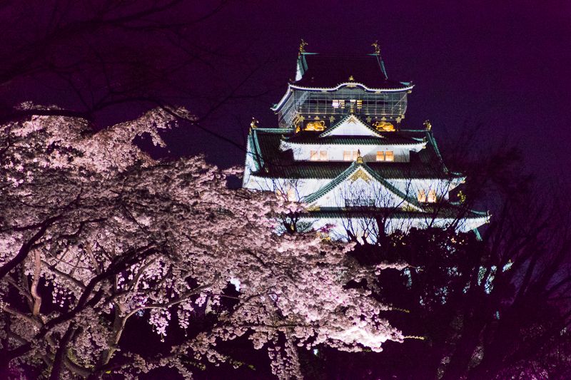 ライトアップも必見！大阪城は夜桜も美しい！